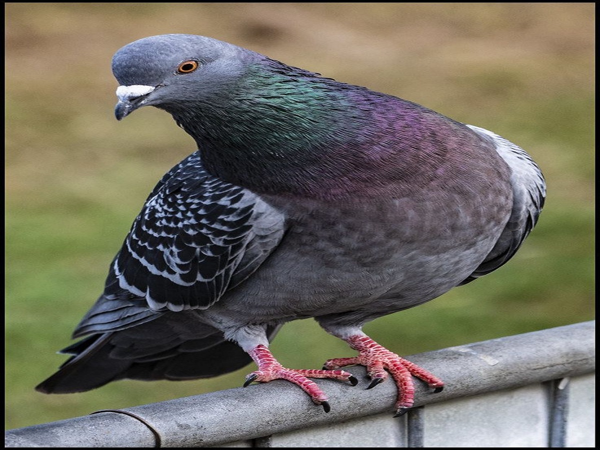 sign of economic prosperity - Photo Gallery