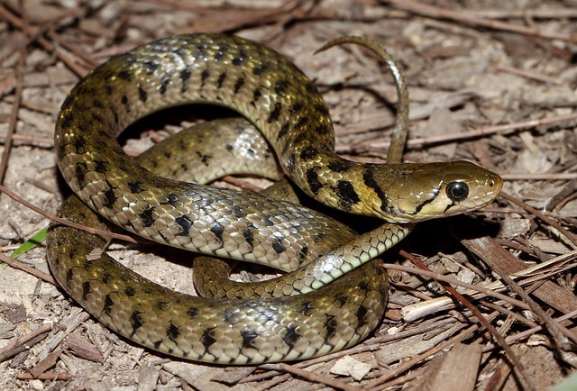 WhatsApp Image 20250801 at 52730 PM