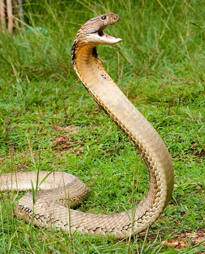 WhatsApp Image 20250801 at 53354 PM