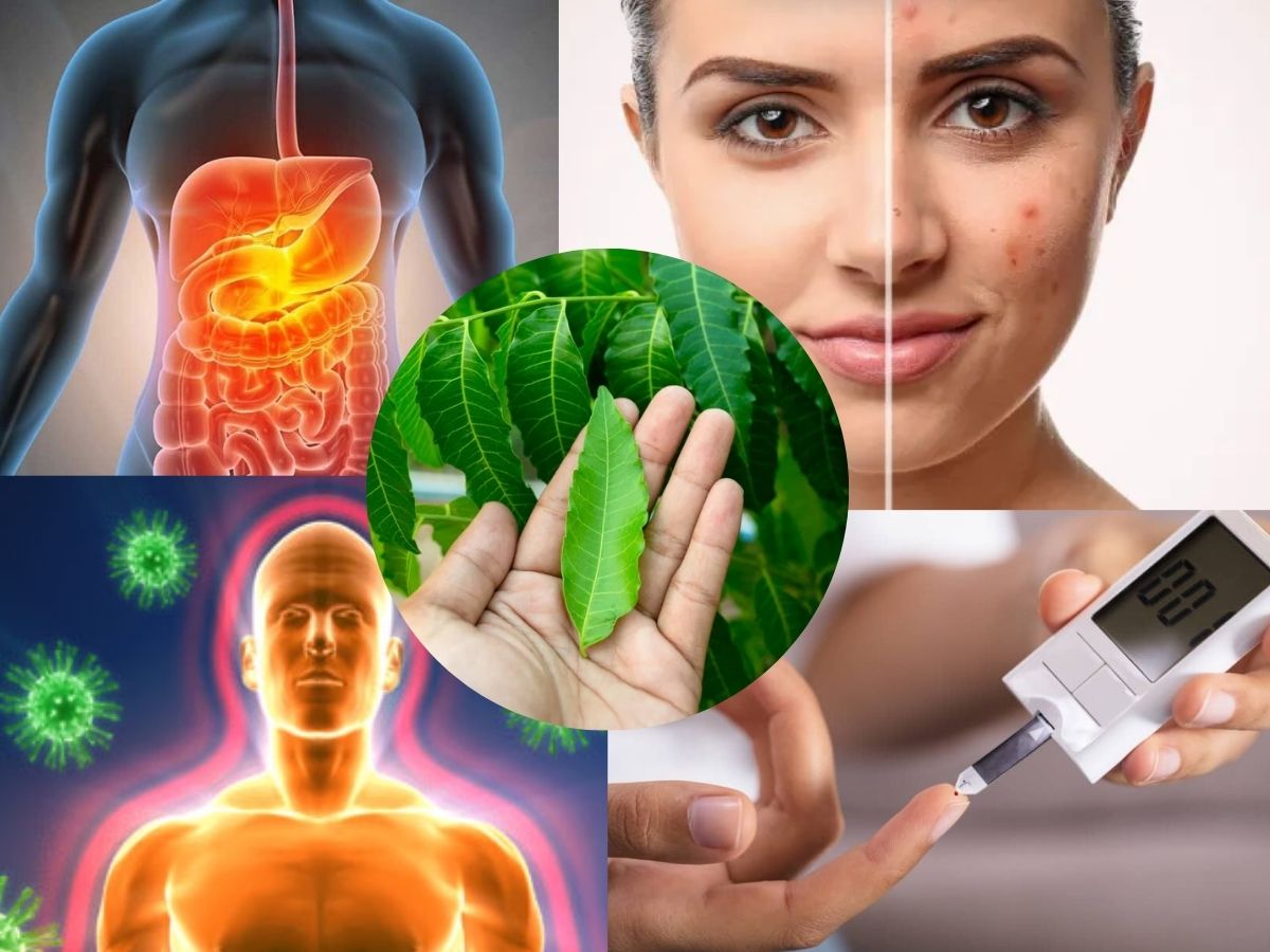 साफ़ त्वचा और स्वस्थ शरीर के लिए रोजाना खाए नीम के पत्ते और सेहत के अद्भुत फायदे