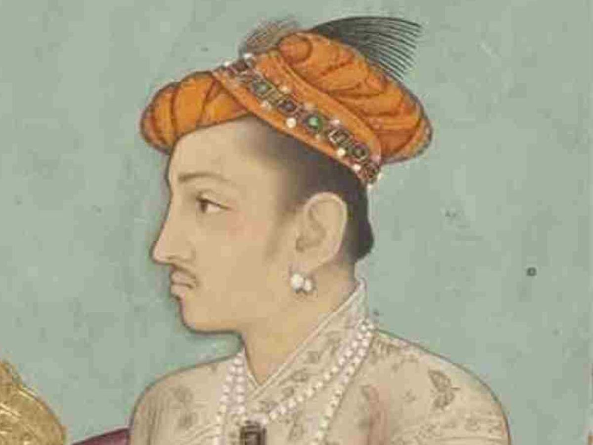 अलवर के सरिस्का के जंगल में छिपा Aurangzeb का अनकहा राज़, जानिए आखिर क्या है वो गुमनाम इतिहास - Gallery Image