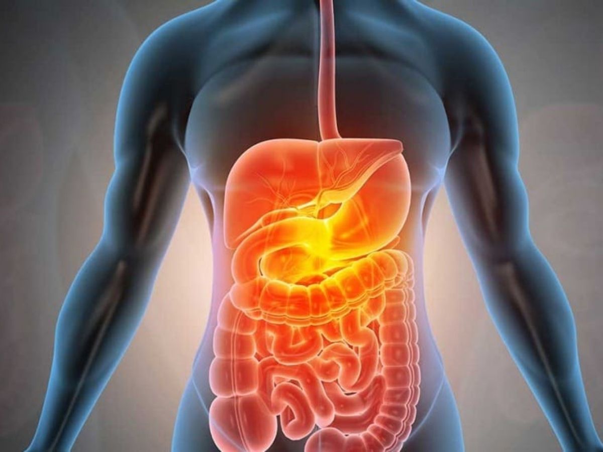 Natural Detox with Neem - Photo Gallery