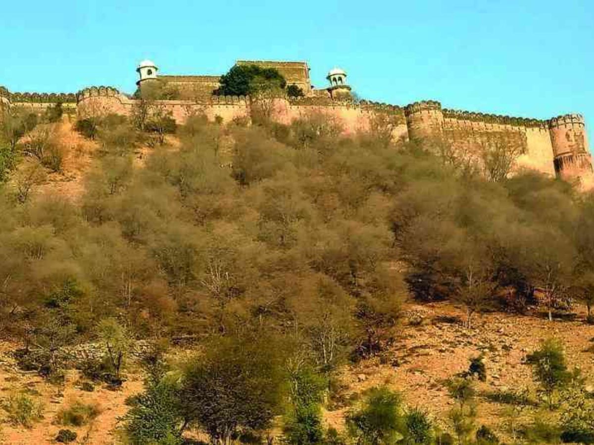 अलवर के सरिस्का के जंगल में छिपा Aurangzeb का अनकहा राज़, जानिए आखिर क्या है वो गुमनाम इतिहास - Gallery Image