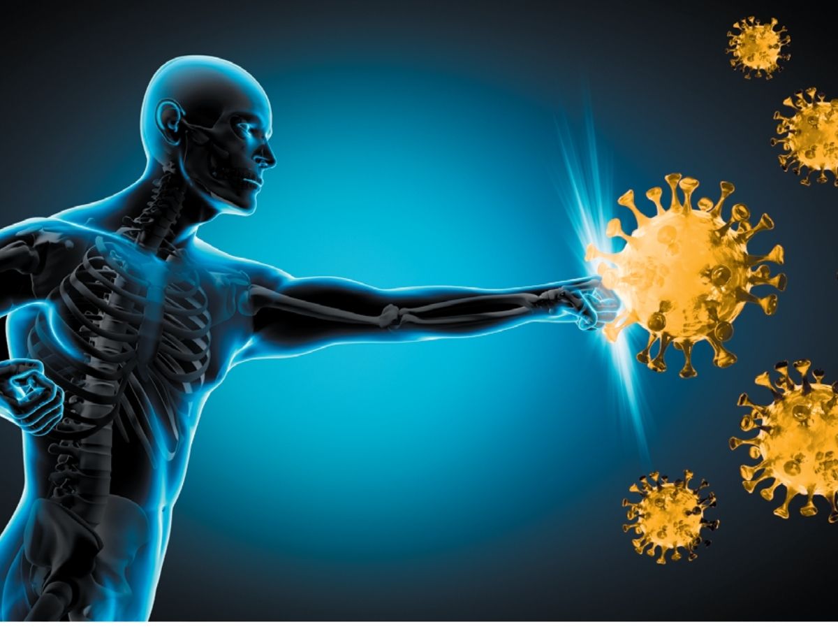 Neem Leaves for Immunity - Photo Gallery