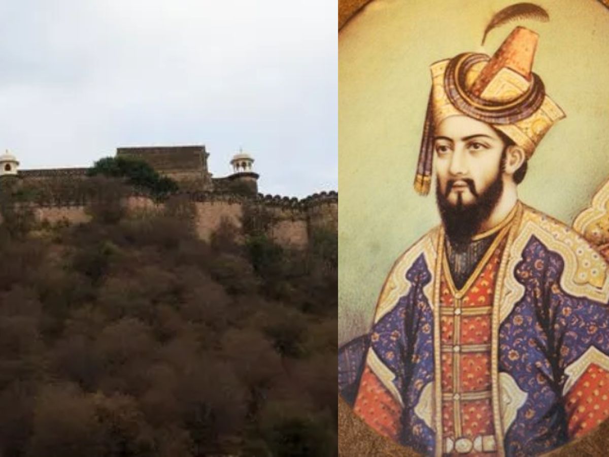 अलवर के सरिस्का के जंगल में छिपा Aurangzeb का अनकहा राज़, जानिए आखिर क्या है वो गुमनाम इतिहास - Gallery Image