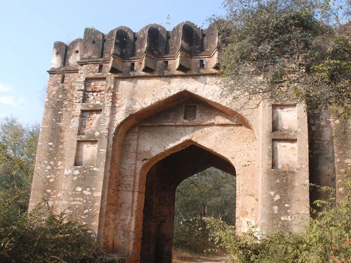 अलवर के सरिस्का के जंगल में छिपा Aurangzeb का अनकहा राज़, जानिए आखिर क्या है वो गुमनाम इतिहास - Gallery Image