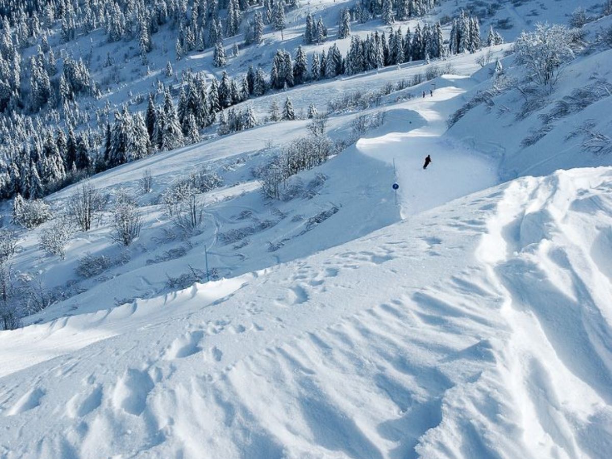रिसर्च का बड़ा खुलाया, अब सिर्फ न्यूट्रिएंट्स ही नहीं क्लाइमेट चेंज भी बना लड़कियो के पीरियड्स डिले होने का कारण - Gallery Image