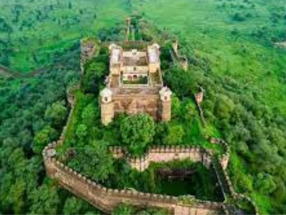 अलवर के सरिस्का के जंगल में छिपा Aurangzeb का अनकहा राज़, जानिए आखिर क्या है वो गुमनाम इतिहास - Gallery Image