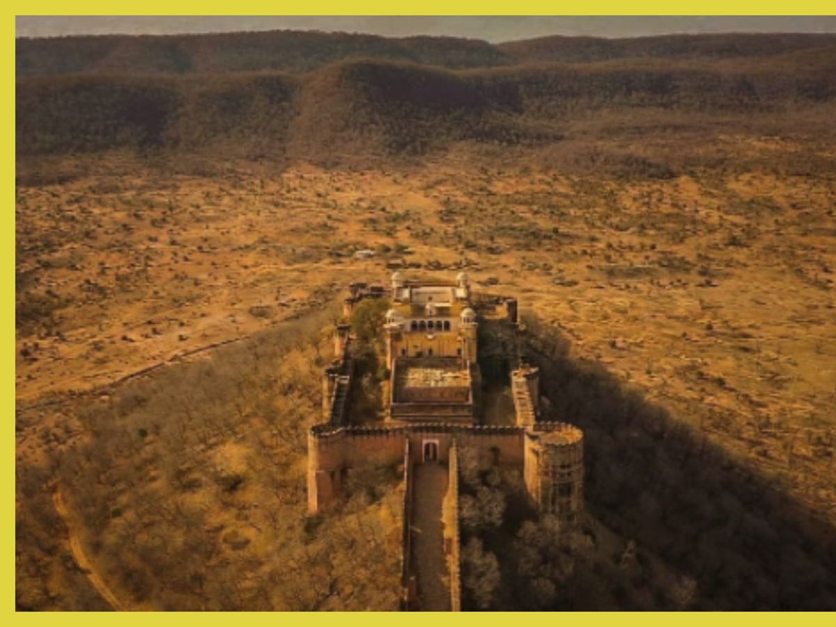 अलवर के सरिस्का के जंगल में छिपा Aurangzeb का अनकहा राज़, जानिए आखिर क्या है वो गुमनाम इतिहास - Gallery Image