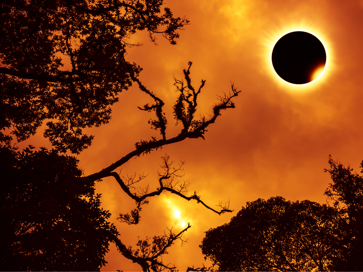 Copy of National Inkhabar (23) - Photo Gallery