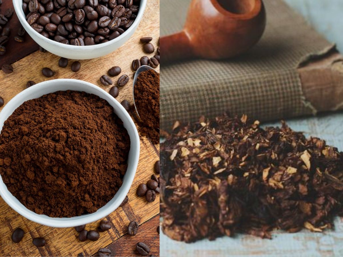 combination of coffee powder and tobacco - Photo Gallery