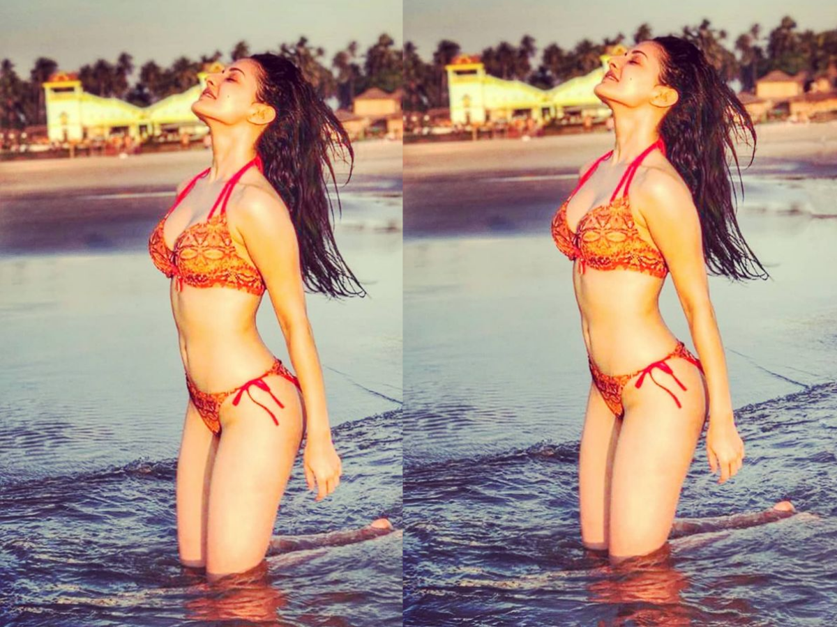 Katrina Kaif का हॉट-सेक्सी अवतार, जब बिकिनी में हसीना ने बढ़ाई लोगों की दिल की धड़कनें, देखें तस्वीरें - Gallery Image