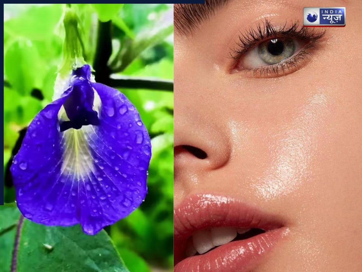 इस नीले फूल का कर लिया इस्तेमाल, तो भूल जाएंगे Aloe vera और Flaxseed, लगने लगेंगी ‘स्वर्ग की अप्सरा’