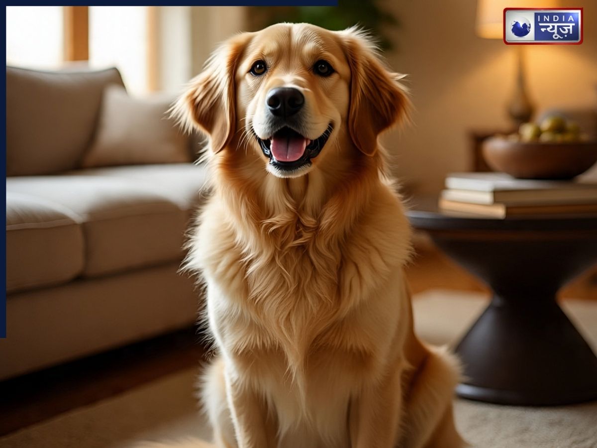 पड़ोसी ने ‘शर्मा जी’ को बना दिया कुत्ता, पूरे शहर में मचा हड़कंप, जानिये कहां का है मामला