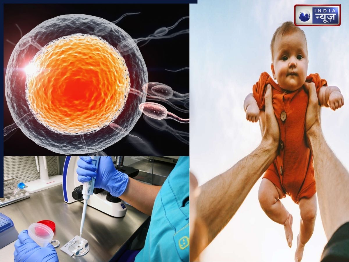 जो दुनिया से जा चुका है, उसके ‘बच्चे’ की भी मां बन सकती हैं आप, इस तरह स्टोर किया जाता है सालों पुराना Sperm