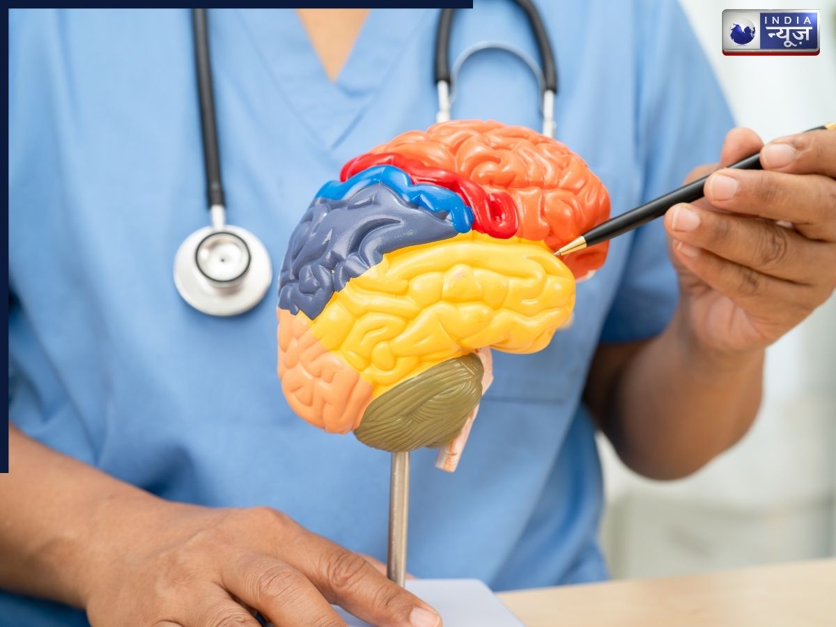 World Alzheimer’s Day 2025: 60 की उम्र में भी रहेगा बिल्कूल शार्प दिमाग, बस अपना ले ये 5 आदतें
