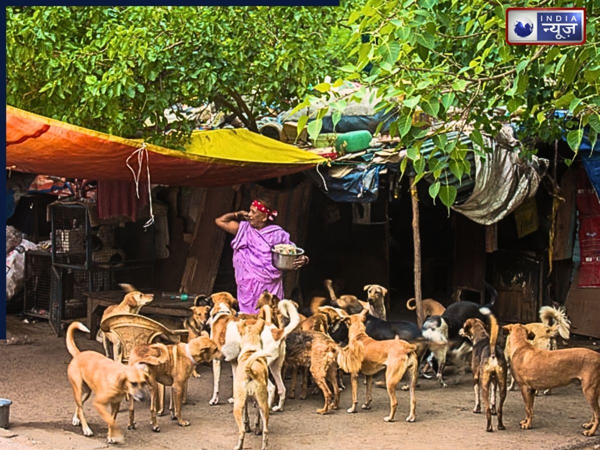 अब कुत्तों को भी होगी ‘उम्रकैद’, UP के इस शहर में प्रशासन का बड़ा फैसला; गलती करने पर सलाखों के पीछे काटेंगे सजा