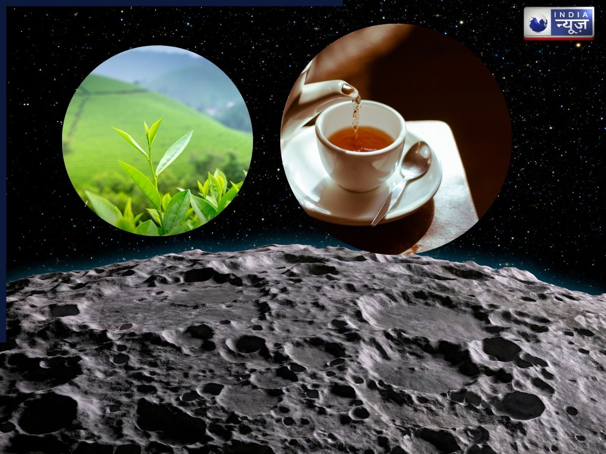 वैज्ञानिकों ने दिखाया ऐसा कमाल, अब चांद की सतह पर बैठ ले सकेंगे चाय की चुस्कियां!