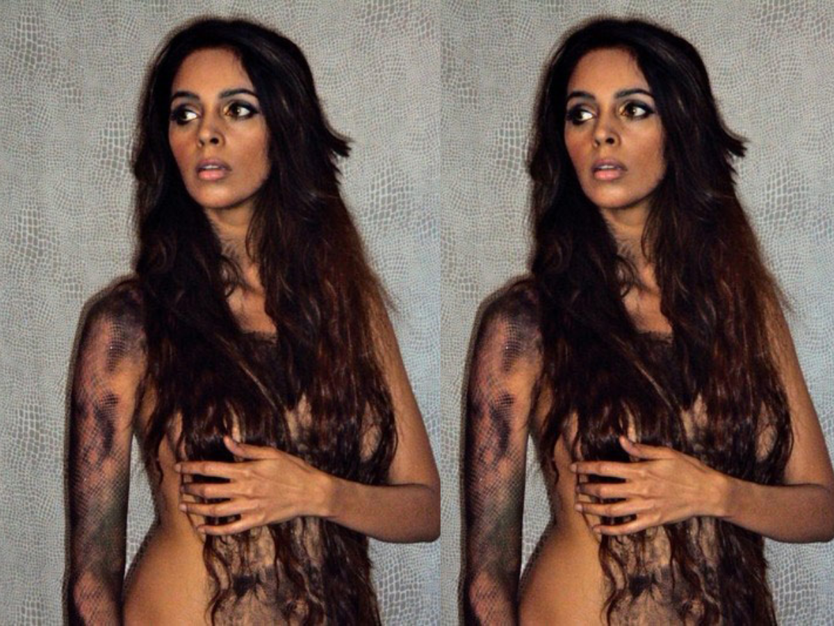 Mallika Sherawat का हॉट अवतार नहीं दिला सका बॉलीवुड में काम, अब पैसों के लिए भटक रही एक्ट्रेस; देखें तस्वीरें - Gallery Image