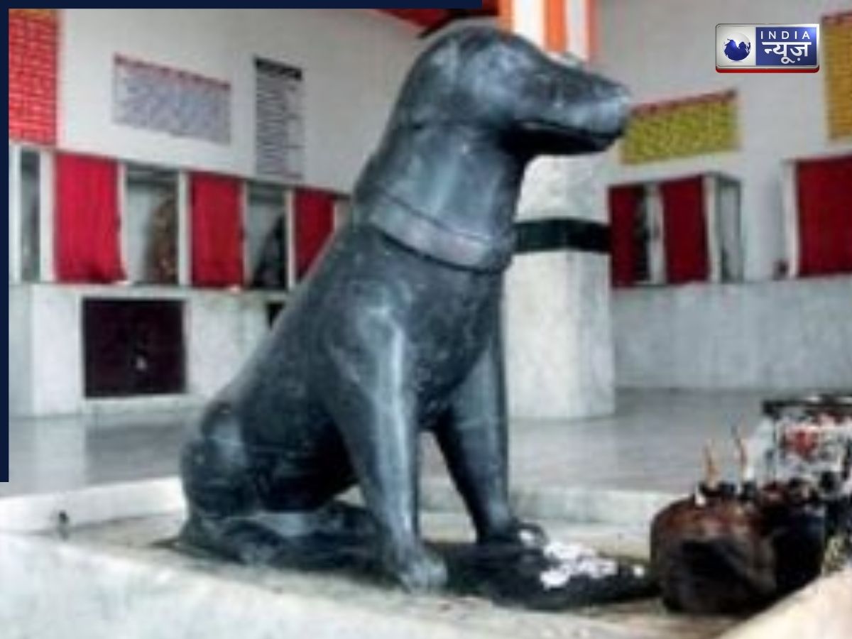 UP के इस मंदिर में होती है कुत्ते की पूजा, यहां के जादुई तालाब का रहस्य जान रह जाएंगे हैरान