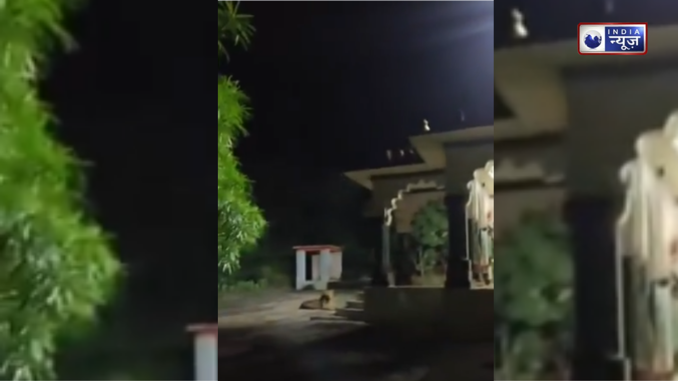 नवरात्रि के दिन माता रानी के दरबार पहुंचा उनका वाहन, कैमरे में कैद हुआ ये अद्भुद नजारा