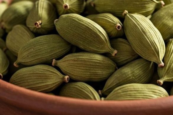 इलायची के अद्भुत फायदे जो बदल देंगे आपकी सेहत