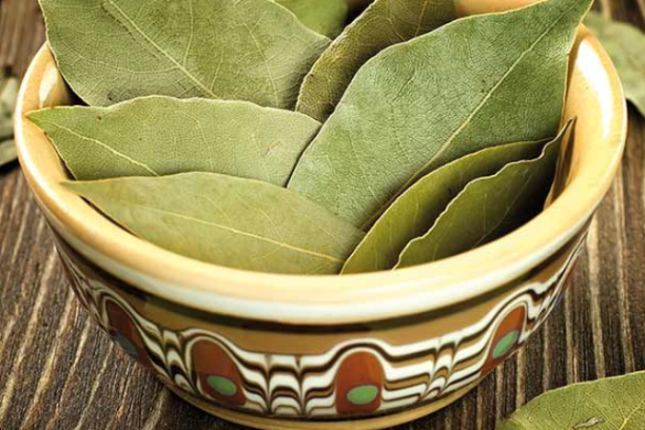 सुबह खाली पेट पिएं तेज पत्ते का पानी और पाएँ ये बड़े फायदे!