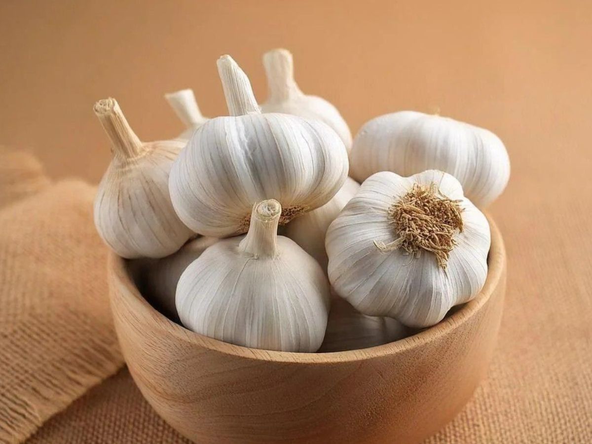 garlic smell - Photo Gallery