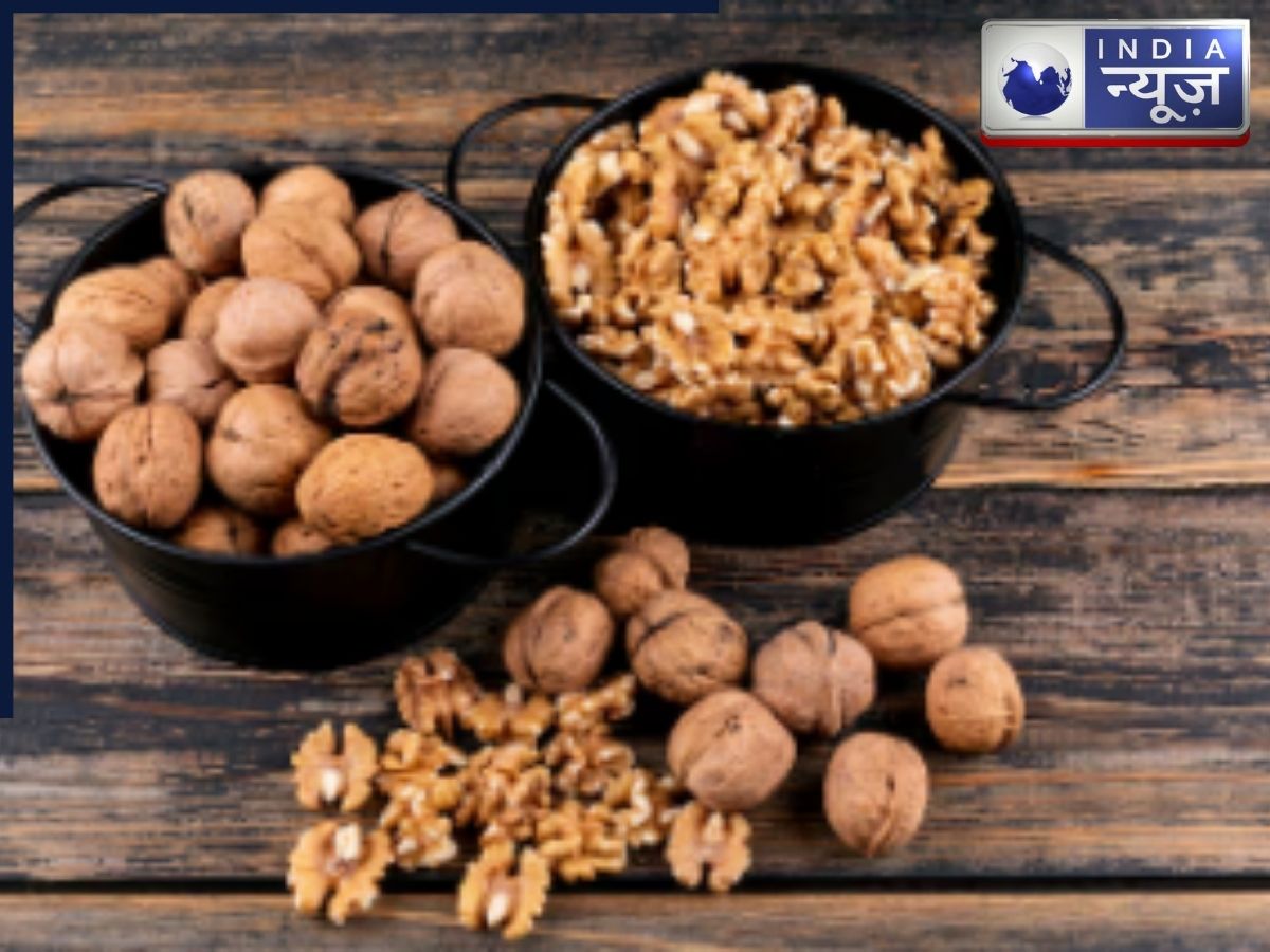 Walnut provide Energy - Photo Gallery