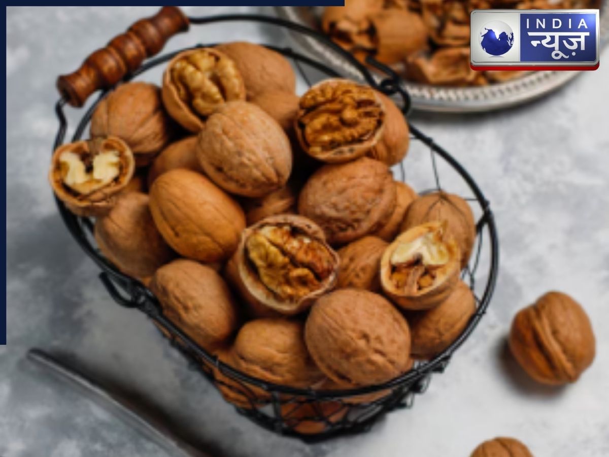 Right Way of Eating Walnut - Photo Gallery