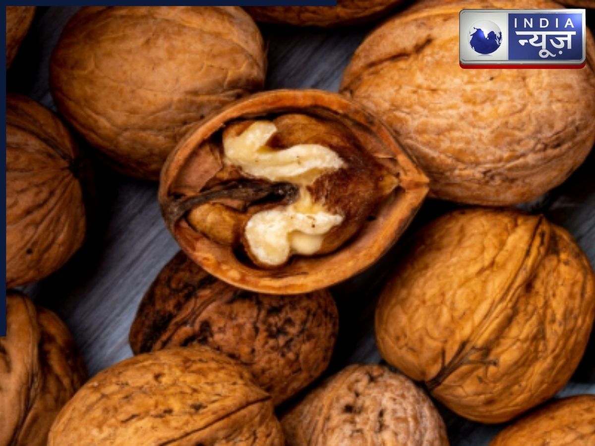 Right Way of Eating Walnut - Photo Gallery