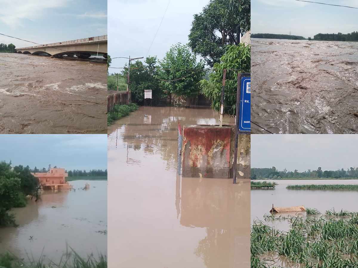 खतरे के निशान पर यमुना-ग्रामीणों को बाढ़ का डर, फसलें डूबी, सेल्फी लेने पहुंच रहे युवा, सुबह यमुना का जलस्तर बढ़ा, शाम होते-होते घटने लगा