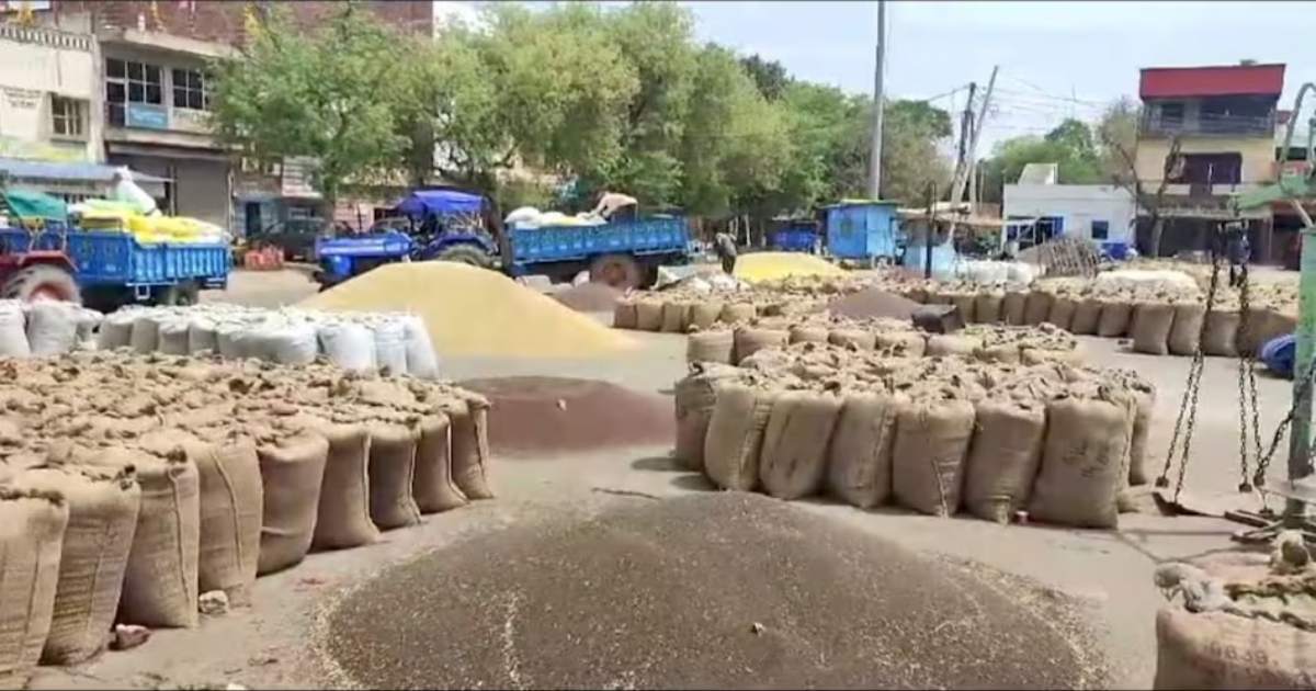हरियाणा के इस जिले पर मेहरबान हुई सरकार, 45 साल बाद अनाज मंडी को मिलेगा नया रूप, टेंडर जारी- जल्द शुरू होगा काम