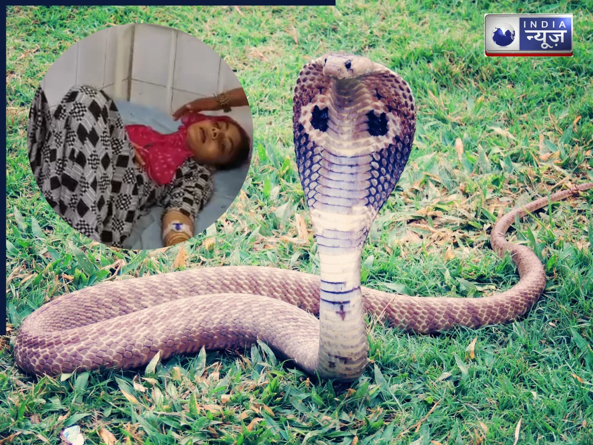 एक ही महिला को 6 महीनों में 8 बार सांप ने काटा! क्या है इसके पीछे का राज?