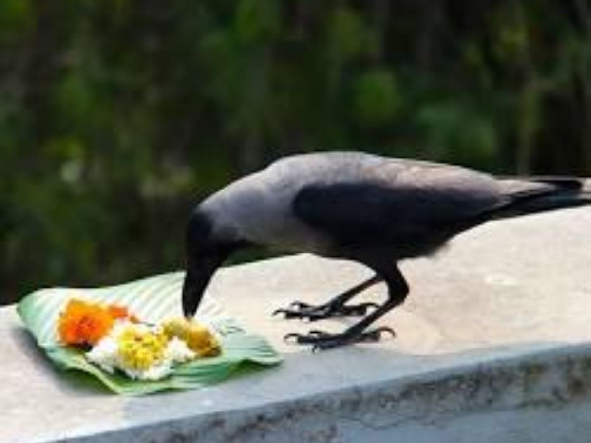 सर्वपितृ अमावस्या पर गंगा स्नान का है बेहद खास महत्व, क्या कहती हैं धार्मिक मान्यताएं; जाने यहां - Gallery Image