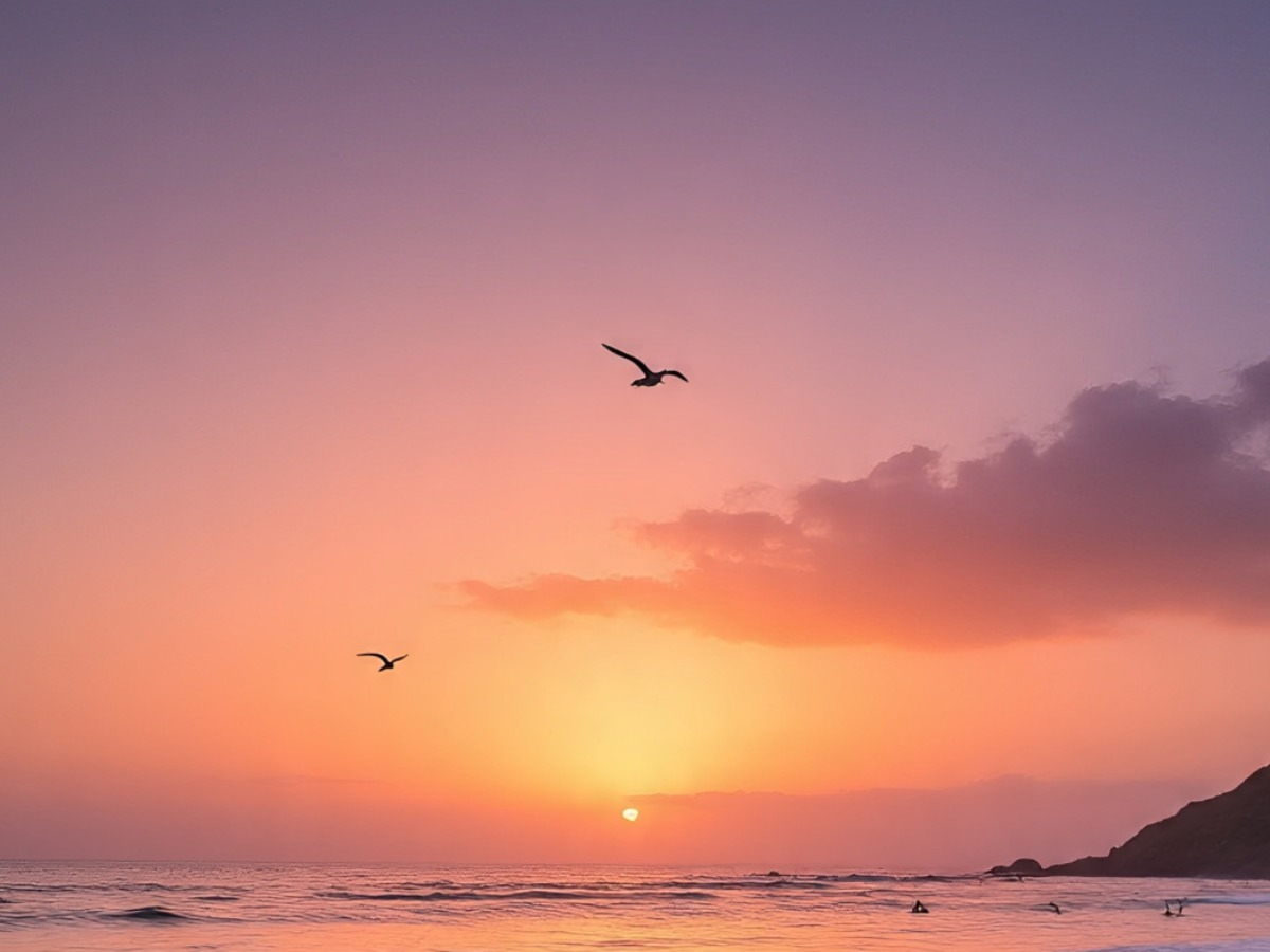 best for Photography and blogging