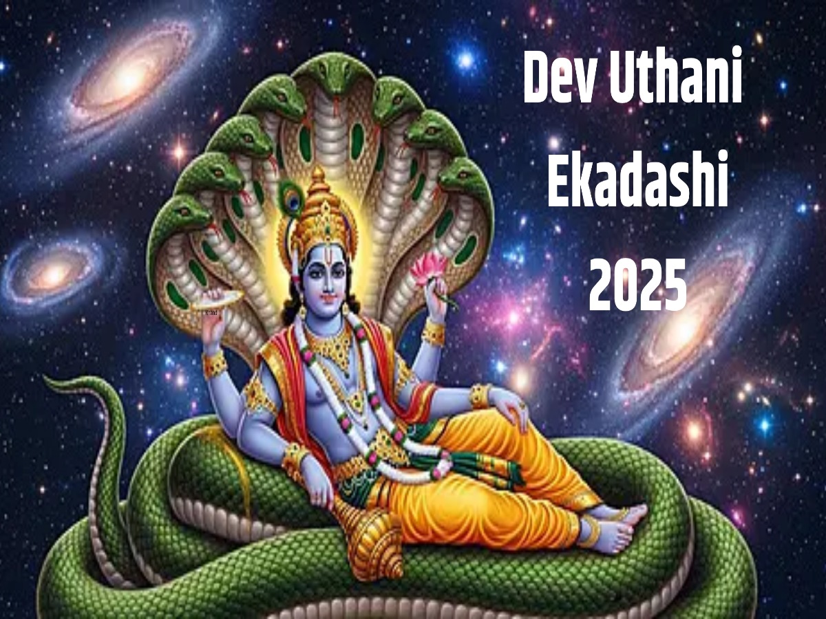 Dev Uthani Ekadashi के दिन करें ये 4 खास उपाय, लक्ष्मी-नारायण देंगे मनचाहा वरदान, सुख-समृद्धि से भर जाएगी झोली