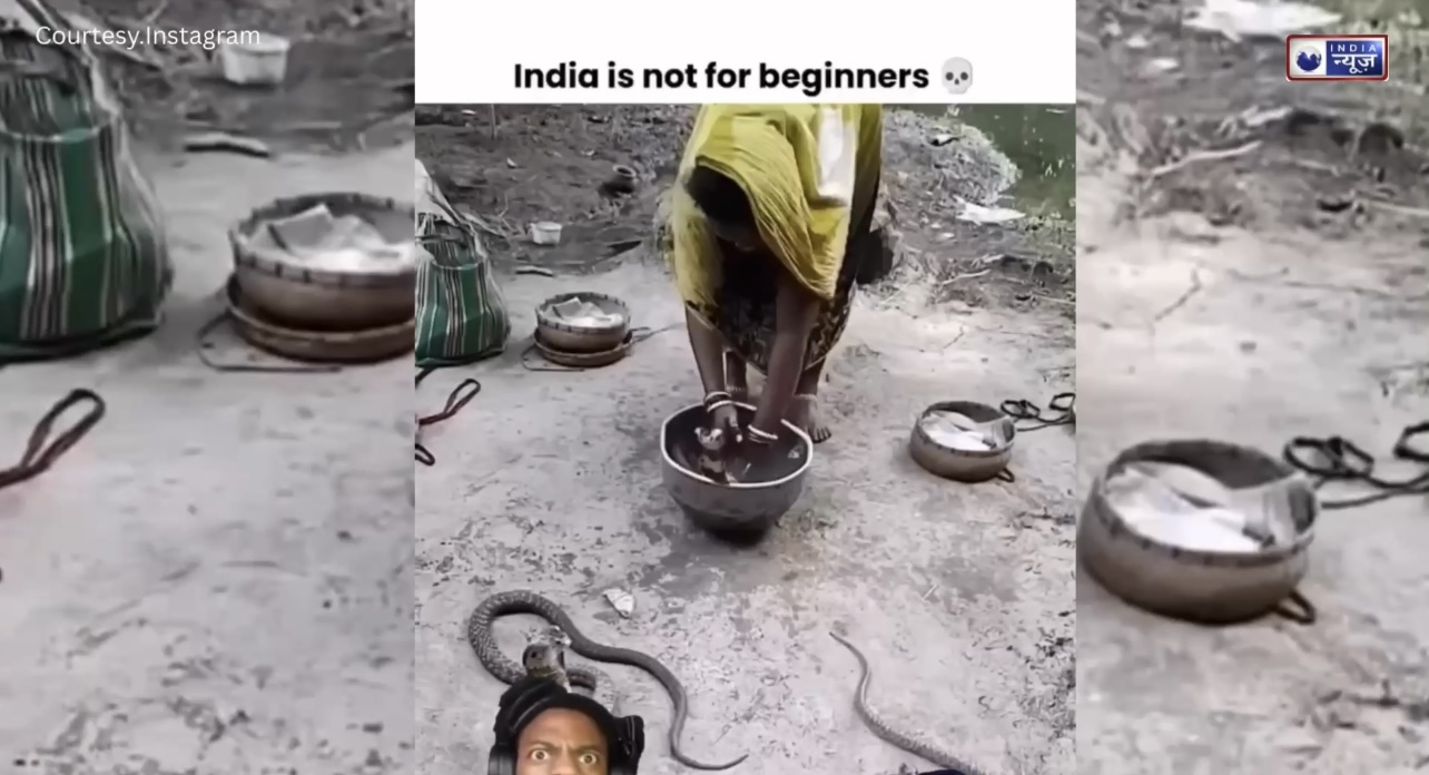 Breaking: ना डर, ना हिचकिचाहट? औरत ने जहरीले सांपों को कुछ इस तरह नहलाया, लोग बोले- अब इंसान और पागलपन में फर्क नहीं रहा!