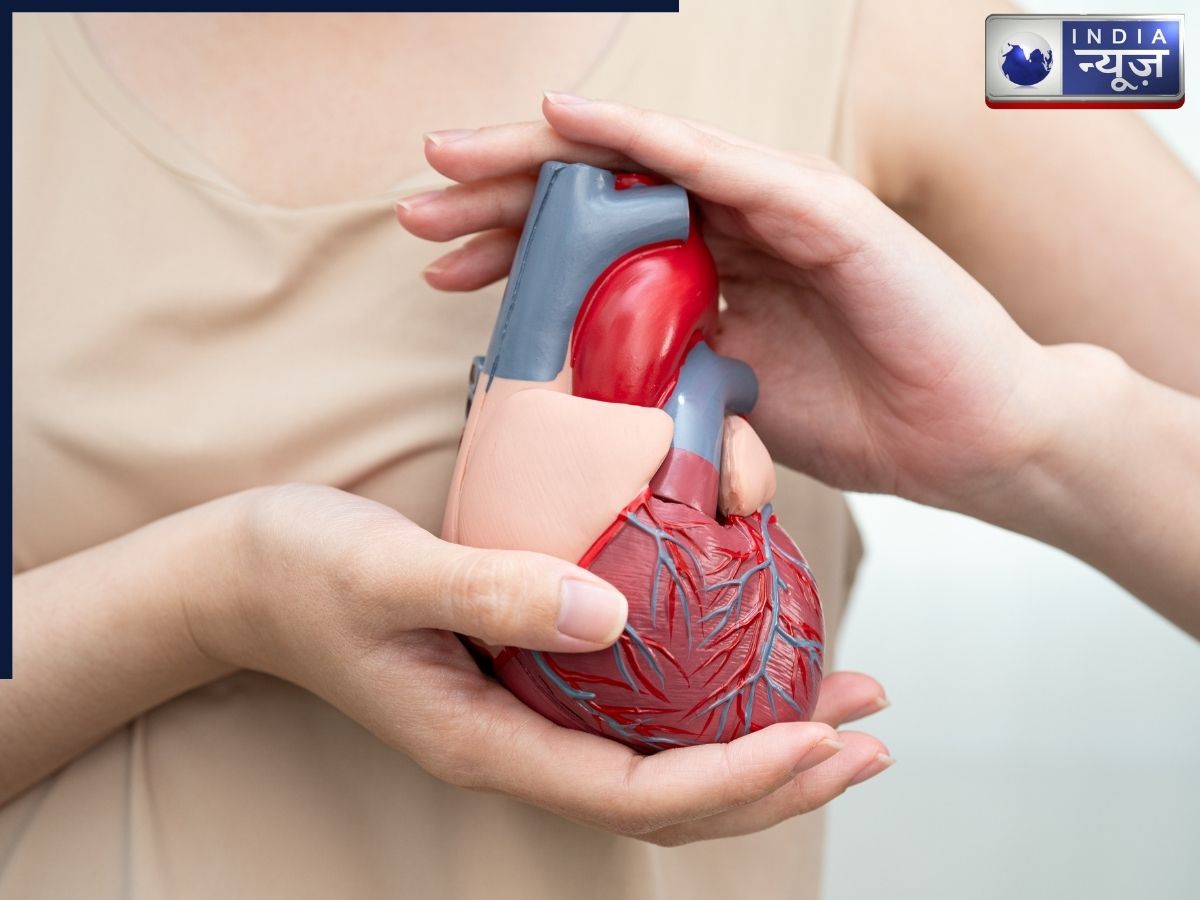 Symptoms of Artery Plaque - Photo Gallery