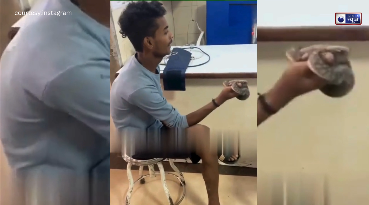 Hospital में मची चीख-पुकार! सांप के डसने के बाद जिंदा पकड़ लाया लड़का, देखकर डॉक्टर भी सन्न, जानिए फिर क्या हुआ…