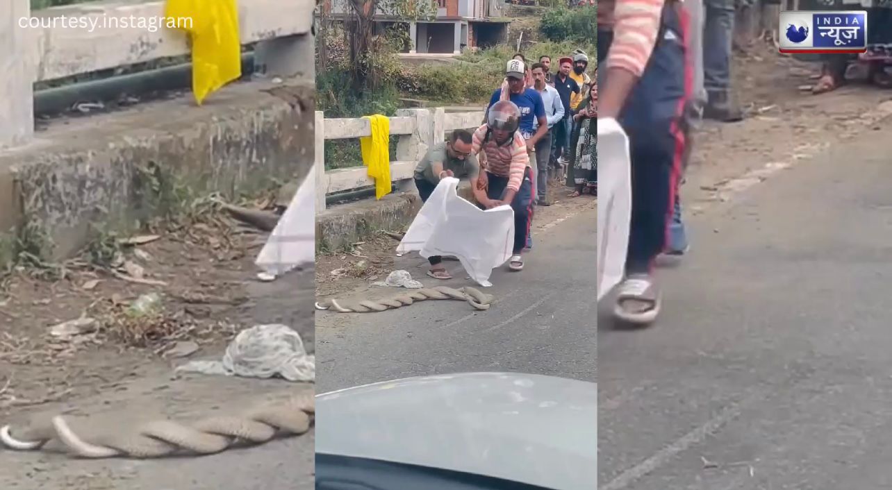 वाह! क्या नजारा है, रोड के बीच Romance करतें दिखा दो सांपों का जोड़ा, कवाब में हड्डी बन लोग हुए jealous…