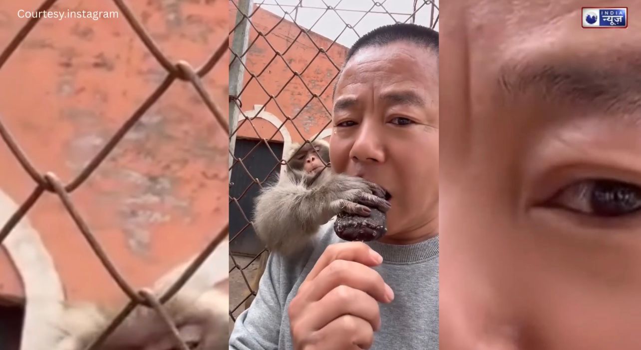 बंदर ने युवक से छीनी Icecream, खुद खाकर बुझाई पेट की आग! वीडियो देख, यूजर्स का हुआ हस्ते-हस्ते बुरा हाल…