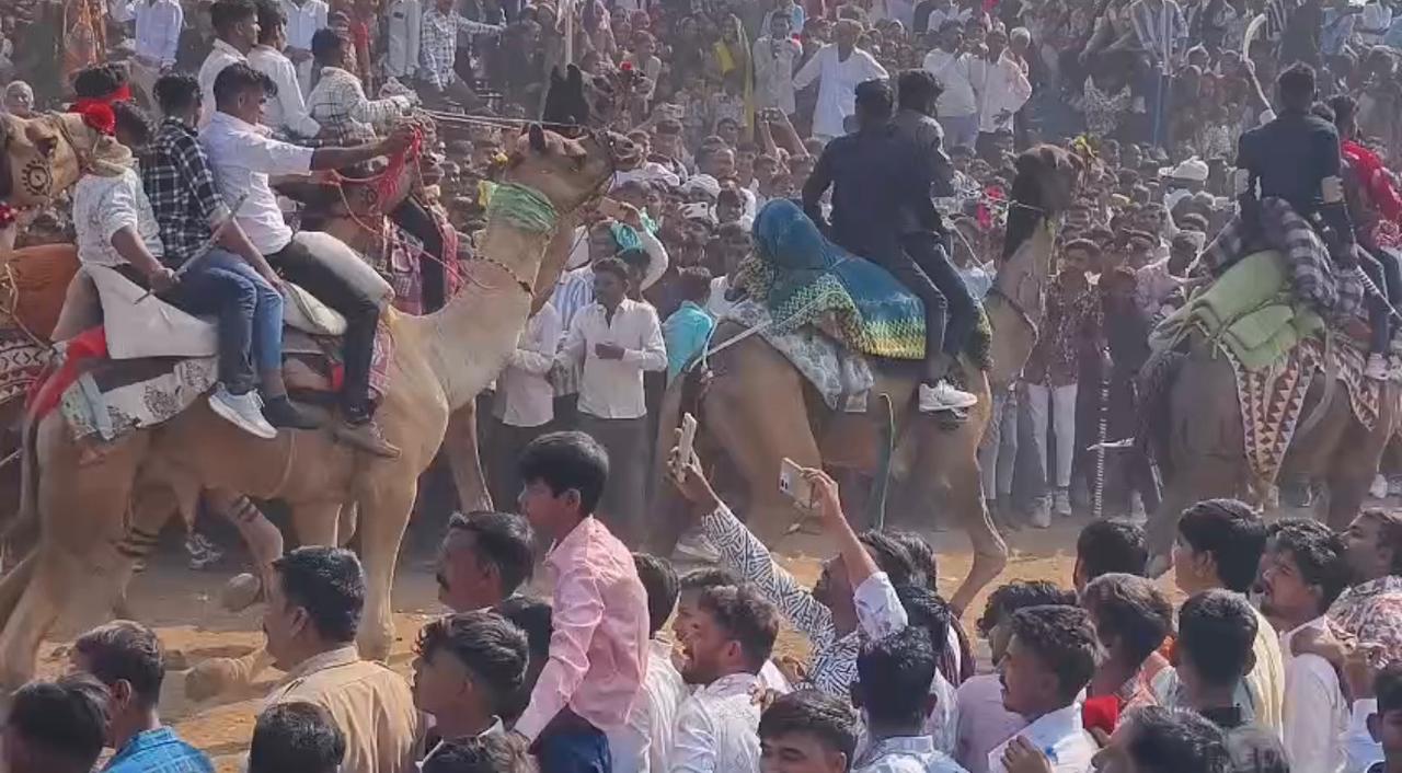 WhatsApp Image 20251023 at 22411 PM