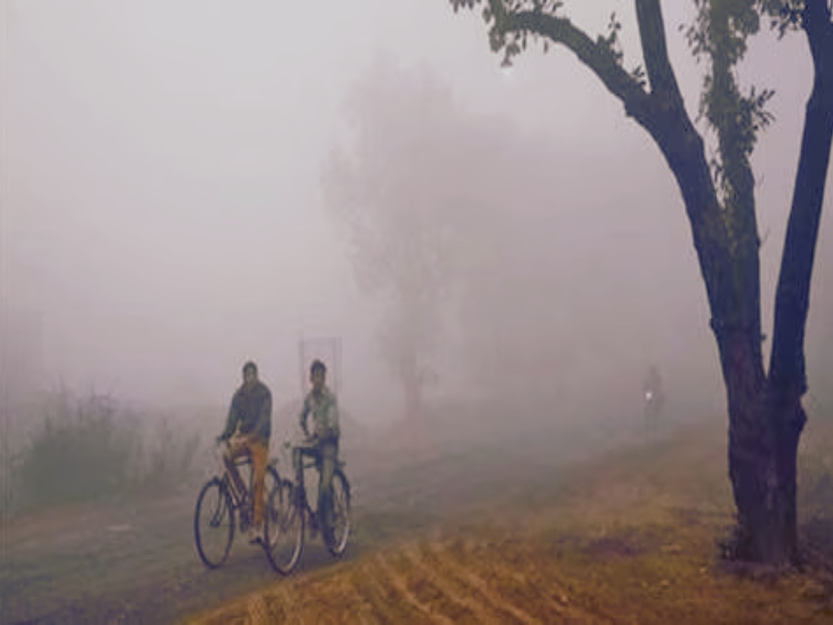 नंवबर में ठंड ने ली एंट्री! IMD ने दी बर्फबारी और तापमान गिरने की चेतावनी