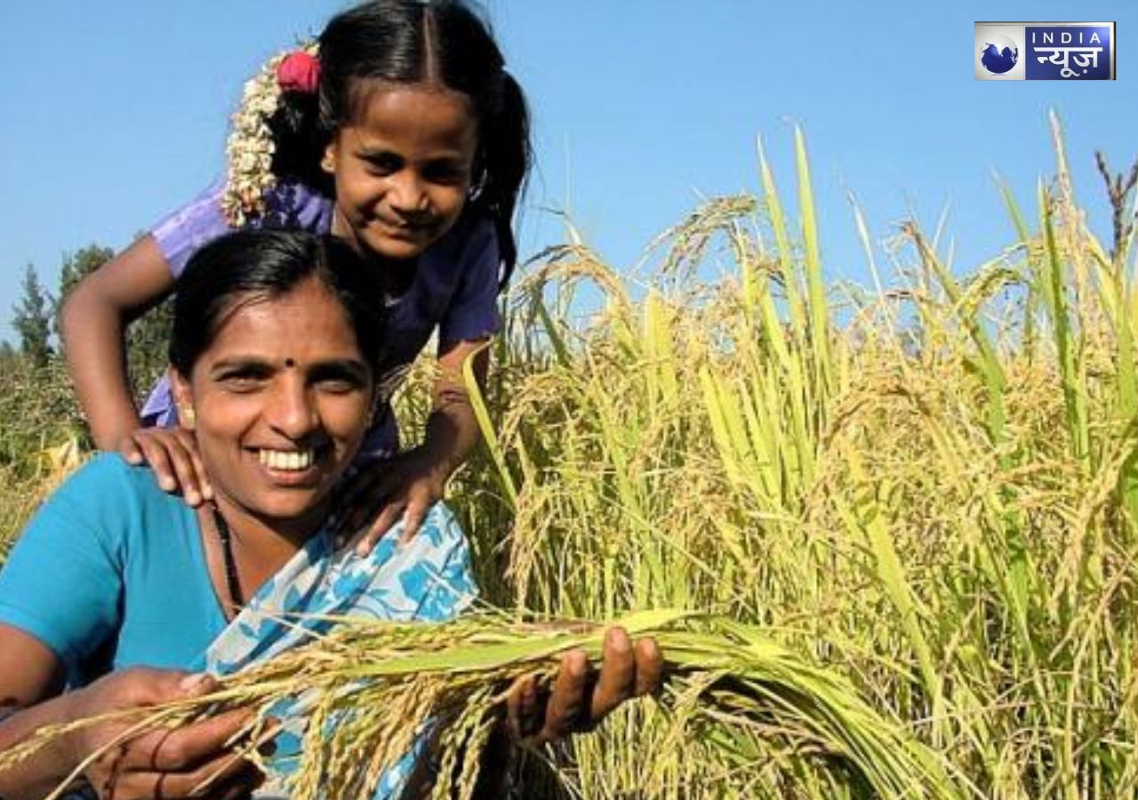 PM Fasal Bima Yojana 2025: किसानों के लिए बड़ी खुशखबरी! फसल बर्बाद हुई तो अब सरकार भरेगी पूरा मुआवजा; कृषि मंत्री का धमाकेदार ऐलान!