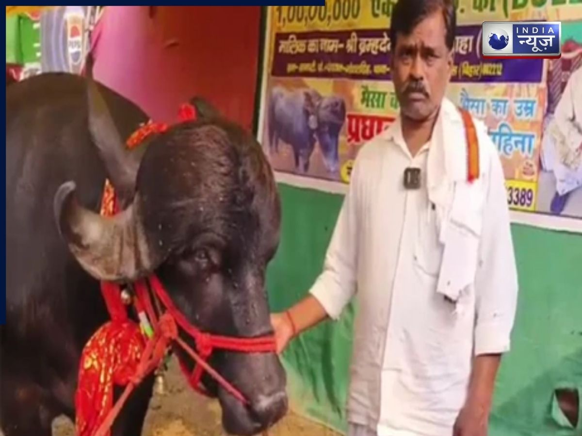 जाफराबादी नस्ल के ‘प्रधान‌ बाबू’, कीमत इनकी 1 करोड़, 38 महीने उम्र, हर दिन डकार जाते 2000 रुपये का भोजन!