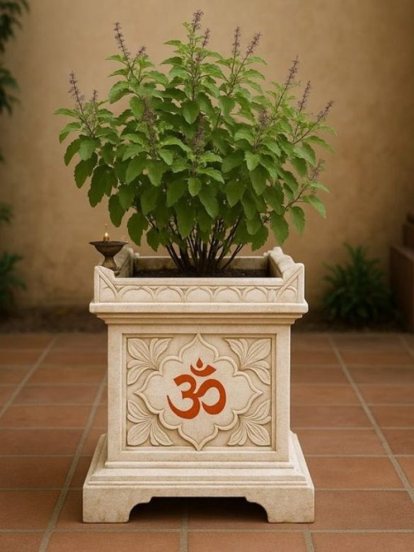 तुलसी की मंजरी तोड़ने का सही नियाम क्या है?