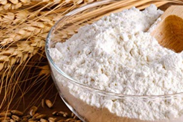 इस तरह रखें गेहूं के आटे को स्टोर, जिंदगी में कभी नहीं लगेंगे कीड़े, जानें आसान तरीका