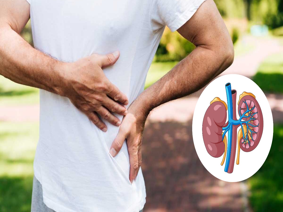 शरीर में हो रही ये परेशानी तो समझ जाएं सड़ने लगी हैं आपकी Kidney! जानें बचाव के उपाय