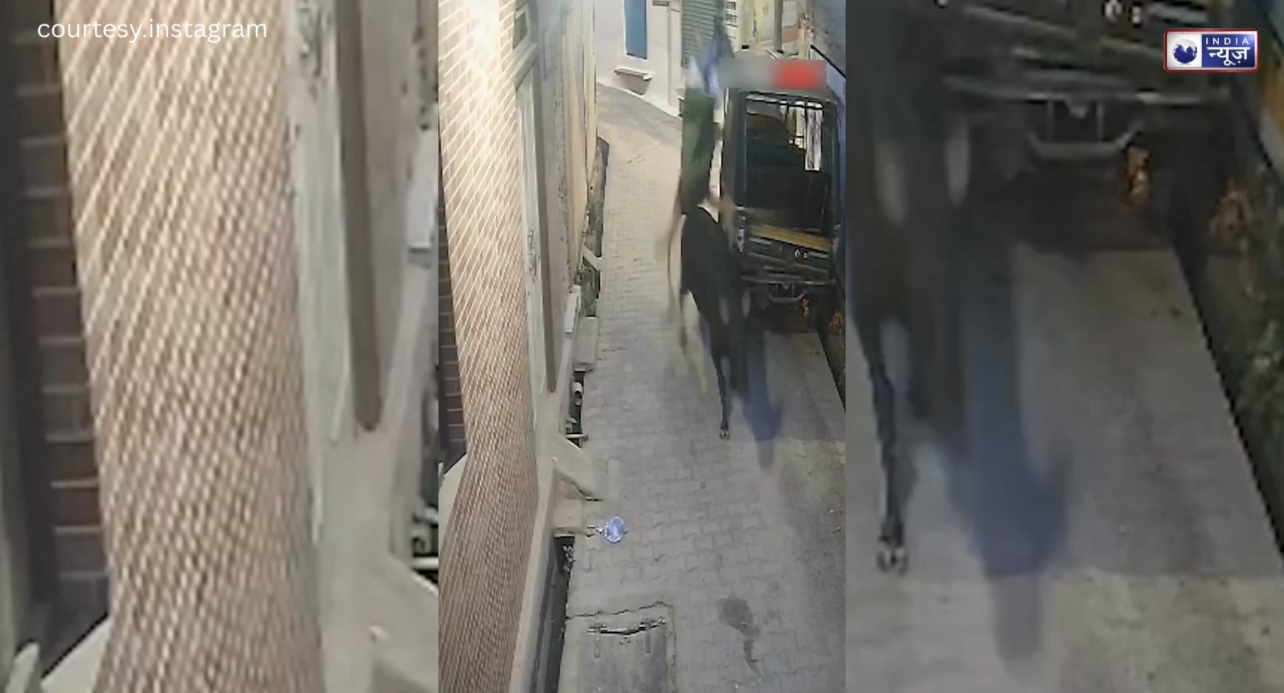 Shocking Video: झांसी के नंदपुरा में सांड का आतंक, महिला को  मारी जोरदार टक्कर, CCTV फुटेज हुआ वायरल!